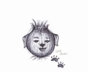 The Ponderings of Me